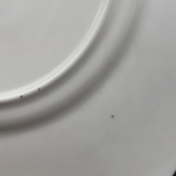 Vintage 1960s Royal Stafford OES Bone China Plate Masonic Eastern Star Gold Trim - Picture 6 of 9